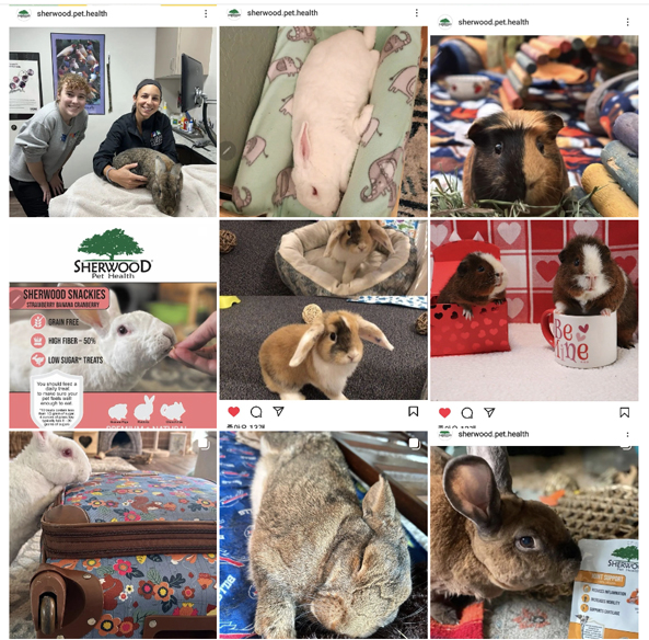 �ν�Ÿ������